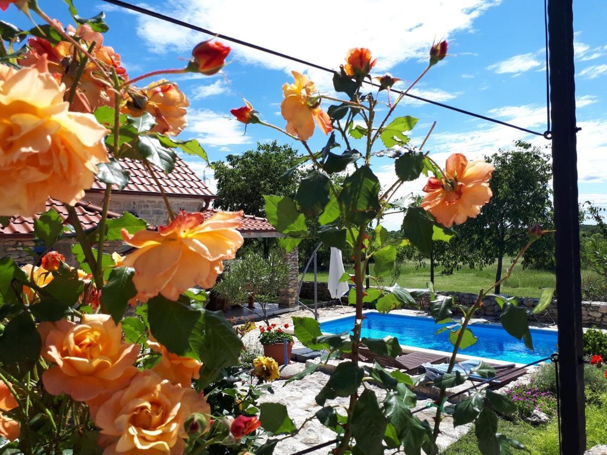 Holiday Home Toma Puljane ภายนอก รูปภาพ